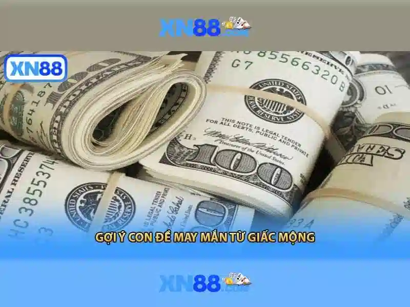 Xếp hạng an toàn và cấp phép Xếp hạng an toàn và cấp phép