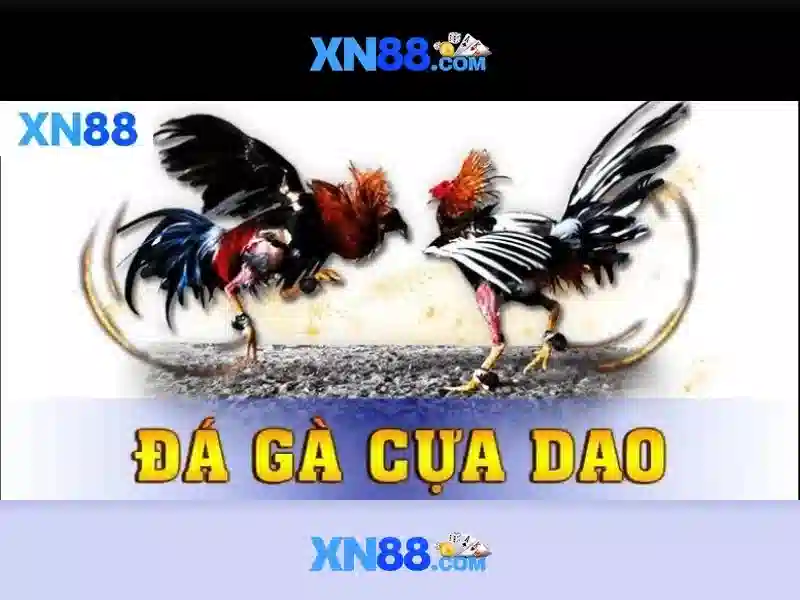 Kết luận