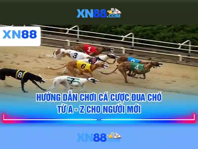 xn88 là gì? Khám phá nền tảng chơi trực tuyến