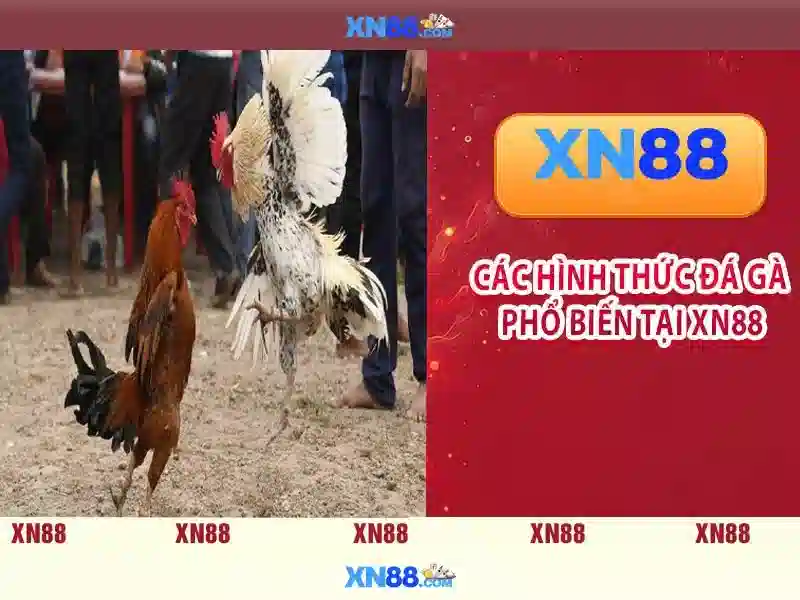 xn88 app ios – Tổng quan chủ đề và giá trị cốt lõi