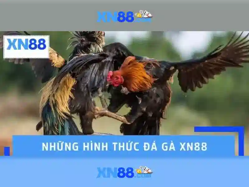Giao diện người dùng trực quan và tính năng nổi bật Giao diện người dùng trực quan và tính năng nổi bật