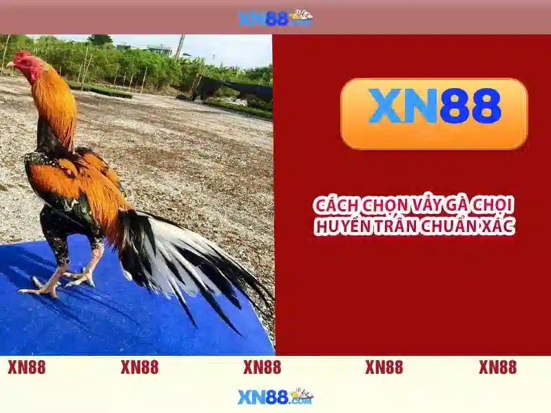 Giới thiệu về xn88