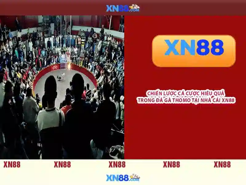  Sản phẩm và dịch vụ cốt lõi: ứng dụng xn88 apk