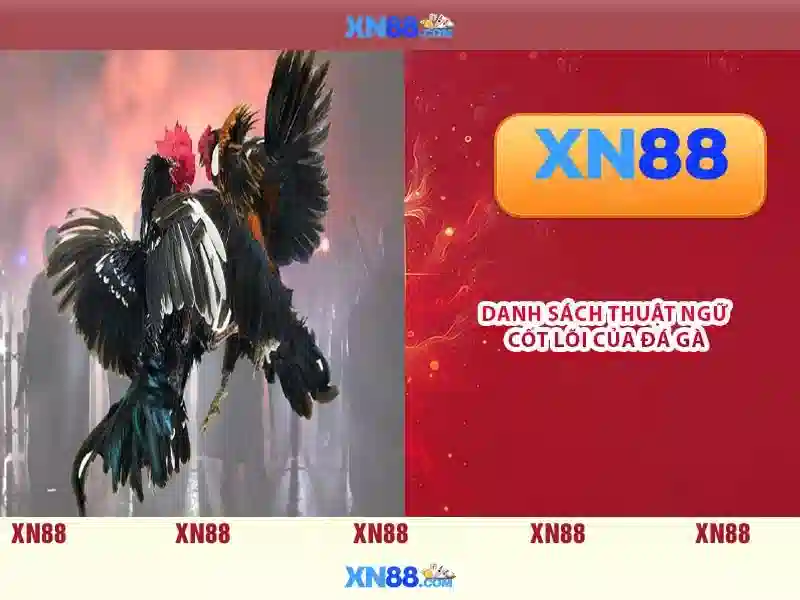 XN88: Nền tảng cược trực tuyến và sự phát triển