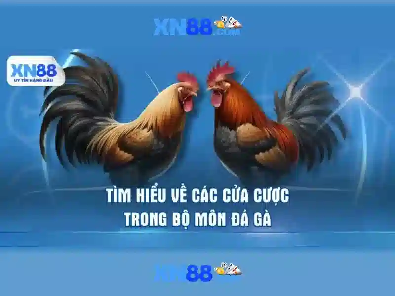 Lý do người chơi tin dùng xn88
