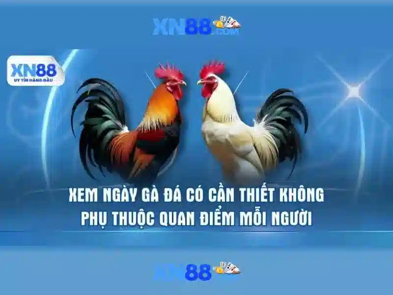 Trải nghiệm người dùng và cá cược di động Trải nghiệm người dùng và cá cược di động