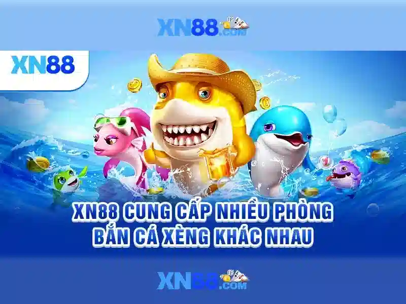 Khái niệm cơ bản về xn88 Khái niệm cơ bản về xn88