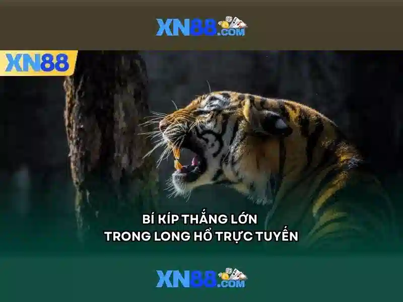 Giới thiệu về xn88 Giới thiệu về xn88