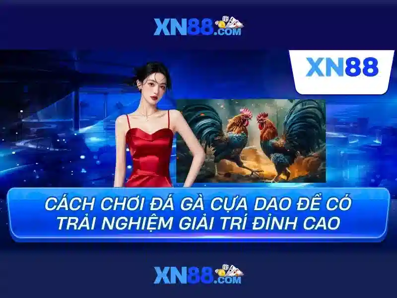 Trải nghiệm người dùng và phản hồi của cộng đồng 