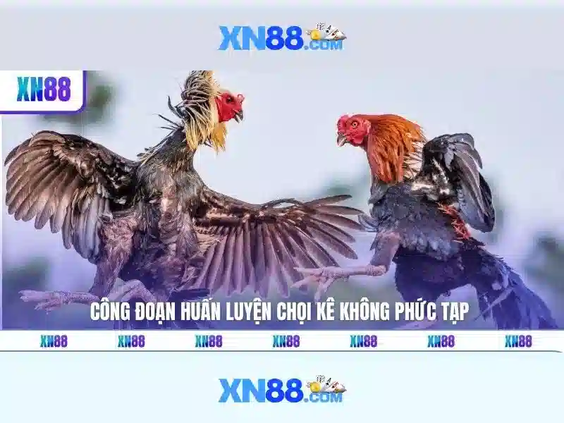 xn88 - Nền tảng trò chơi và giải trí trực tuyến