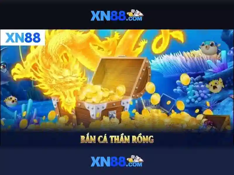 xn88: Tổng quan về nền tảng, lịch sử và dịch vụ