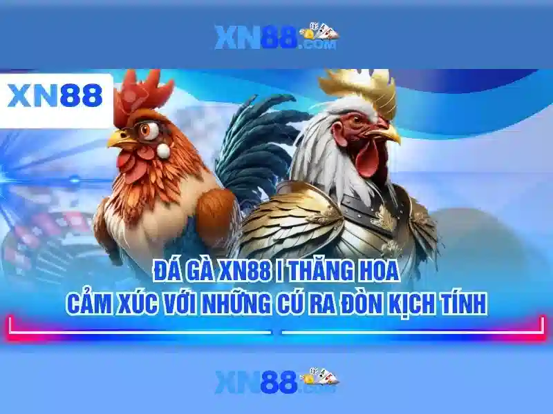 XN88: Tổng quan và hướng dẫn cho người chơi
