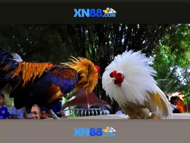 Danh-muc-trai-nghiem-nguoi-choi