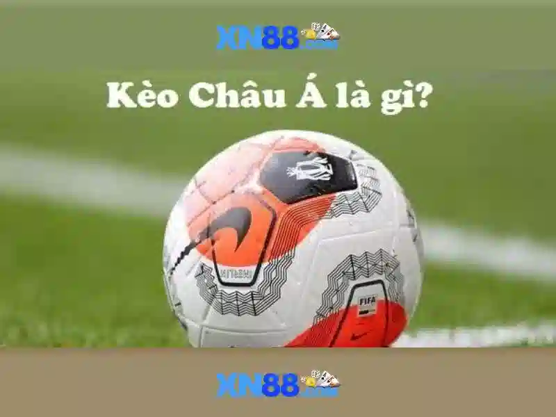 Các trò chơi và dịch vụ Các trò chơi và dịch vụ