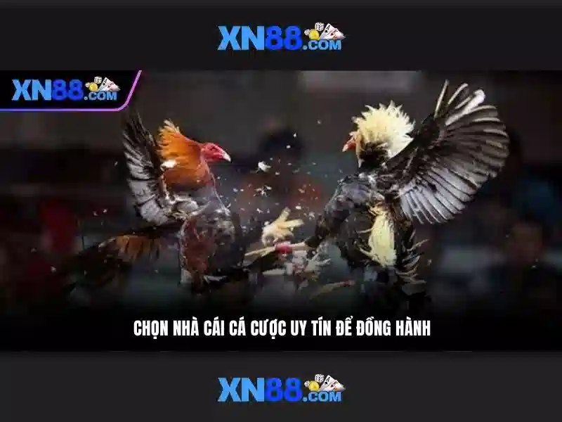Đa dạng trò chơi và cược Đa dạng trò chơi và cược
