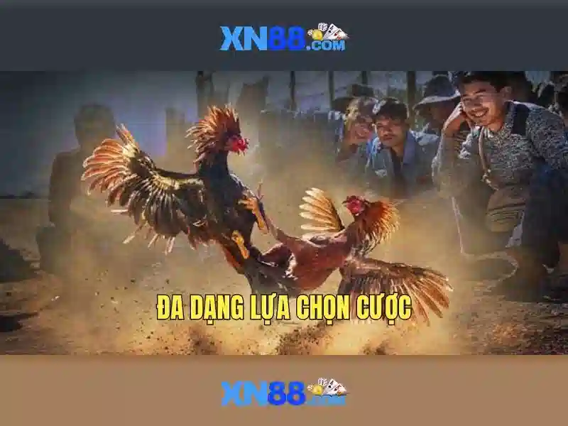 Tính năng nổi bật của xn88