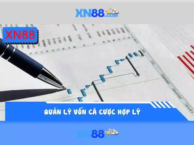 xn88 .com – Nền tảng hàng đầu cho trải nghiệm và đánh giá