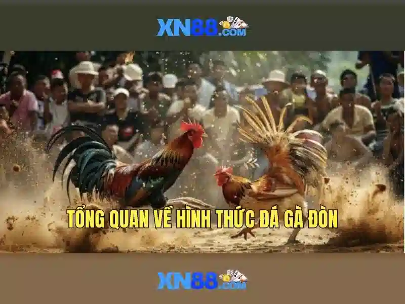 XN88: Nền tảng giải trí trực tuyến và những điều cần biết