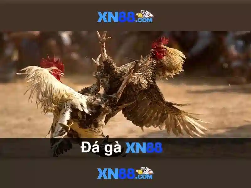 xn88: Nền tảng chơi game và trải nghiệm trực tuyến