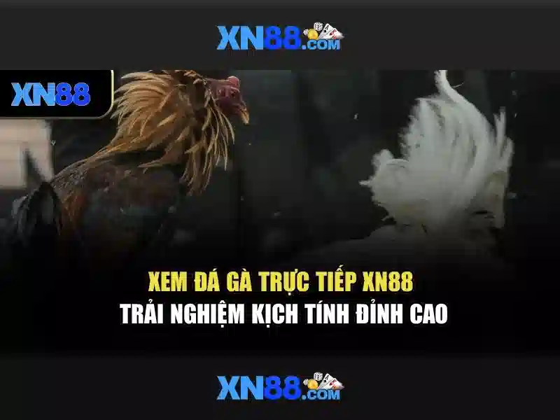 Huong dan tham gia va nap tien Huong dan tham gia va nap tien