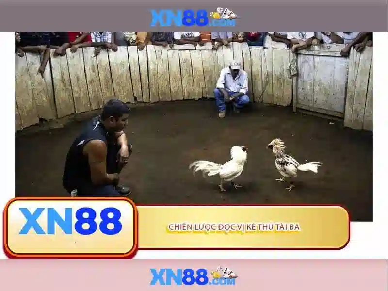 Đa dạng trò chơi và trải nghiệm người dùng Đa dạng trò chơi và trải nghiệm người dùng