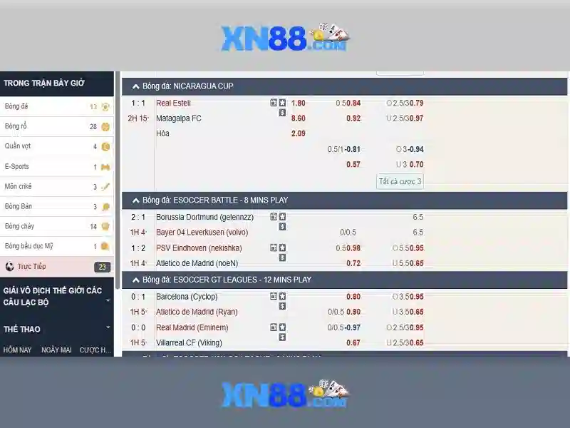 XN88: Tổng quan và hướng dẫn