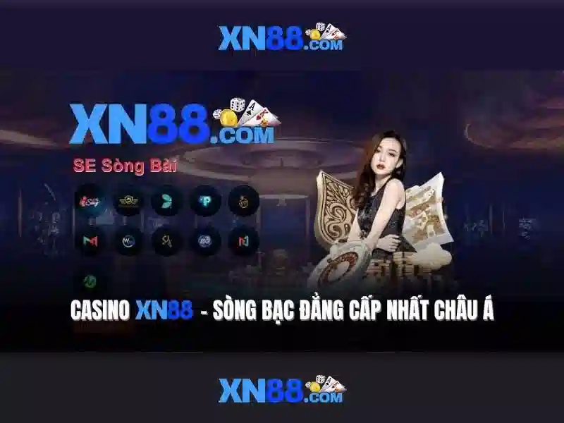Chính sách an toàn và trách nhiệm người dùng
