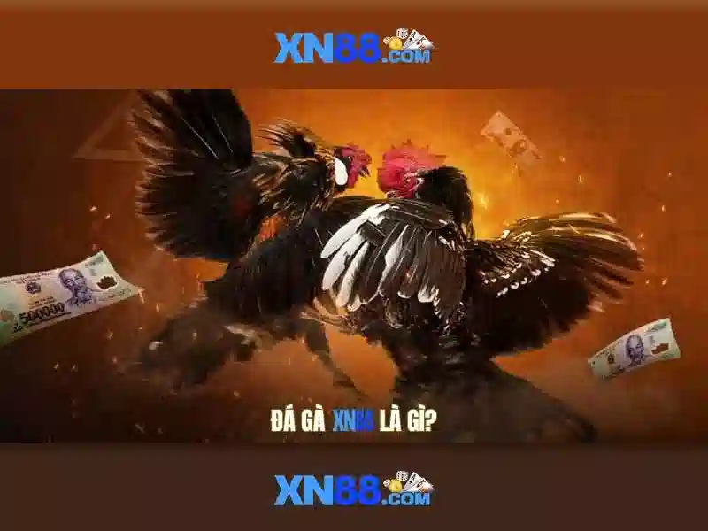 A-kiem-tra-tai-app-xn88 