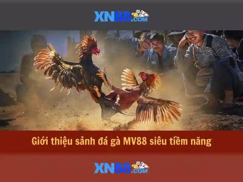 xn88 - Khám phá nền tảng giải trí và cá cược trực tuyến