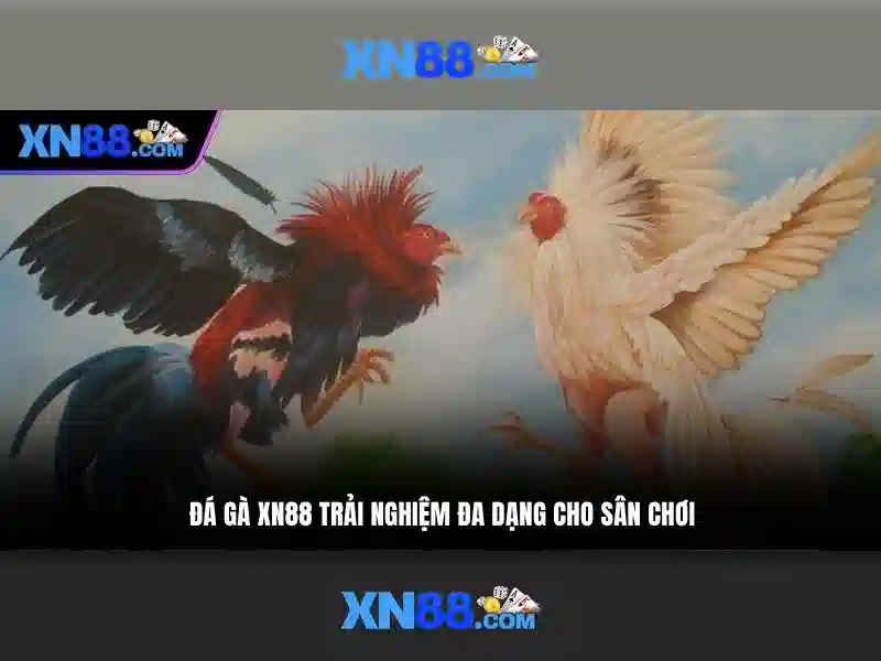 Giới thiệu về xn88 Giới thiệu về xn88
