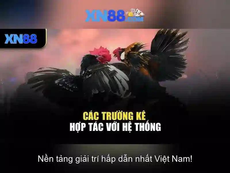 Các chức năng và cam kết của xn88 Các chức năng và cam kết của xn88