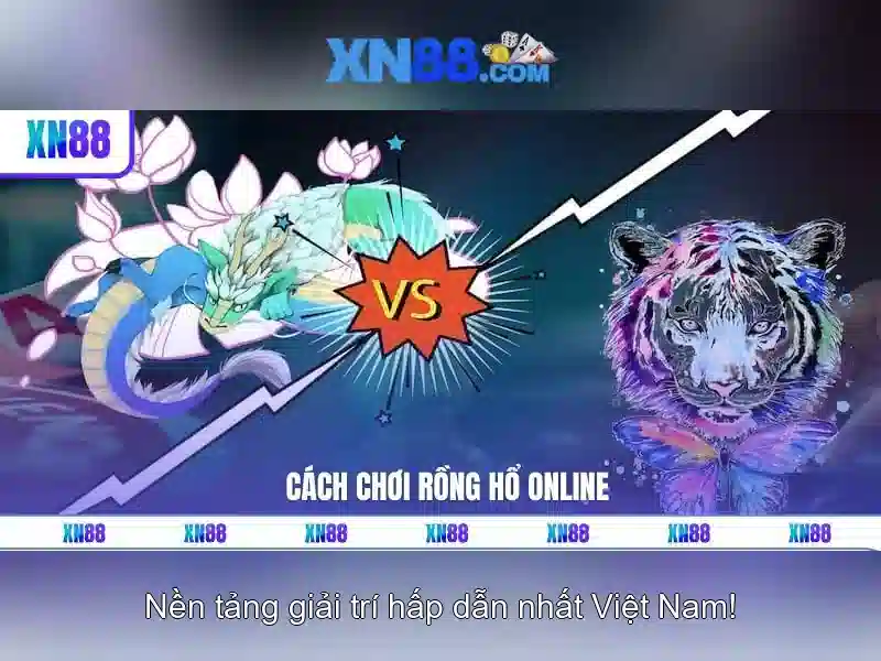 Trải nghiệm người dùng và phản hồi cộng đồng