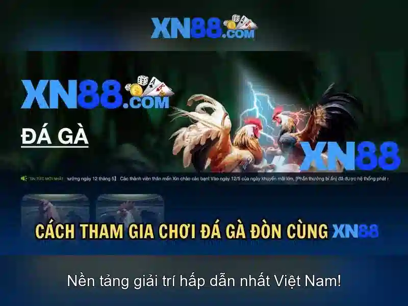xn88: Tổng quan về nền tảng cá cược và giải trí trực tuyến