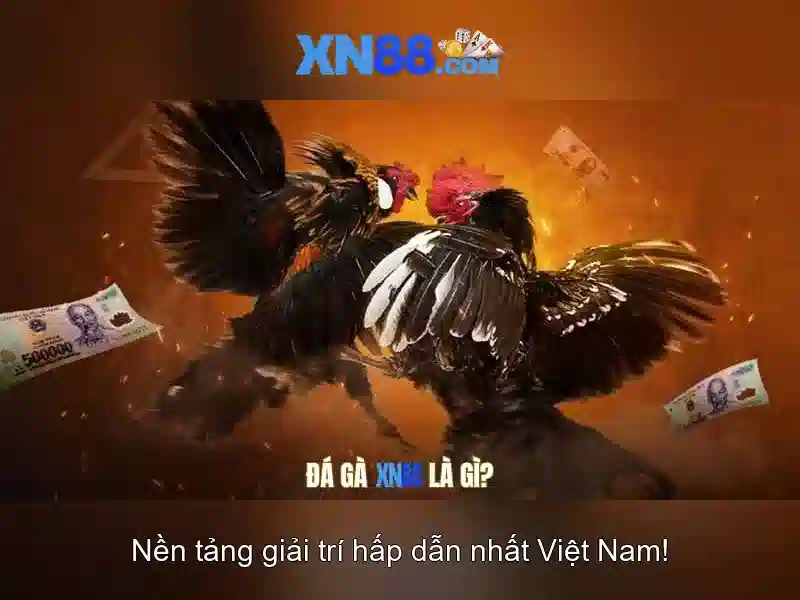 An toàn và pháp lý