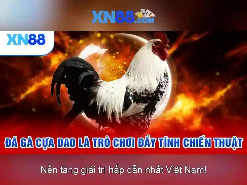 xn88 - Nền tảng cá cược và trò chơi trực tuyến nổi bật tại Việt Nam