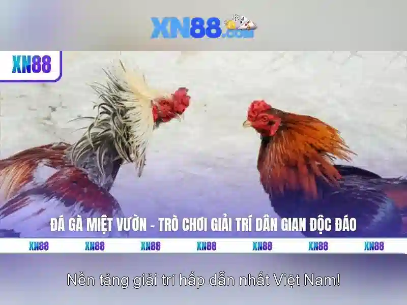 xn88: Tổng quan, tính năng và an toàn khi tham gia