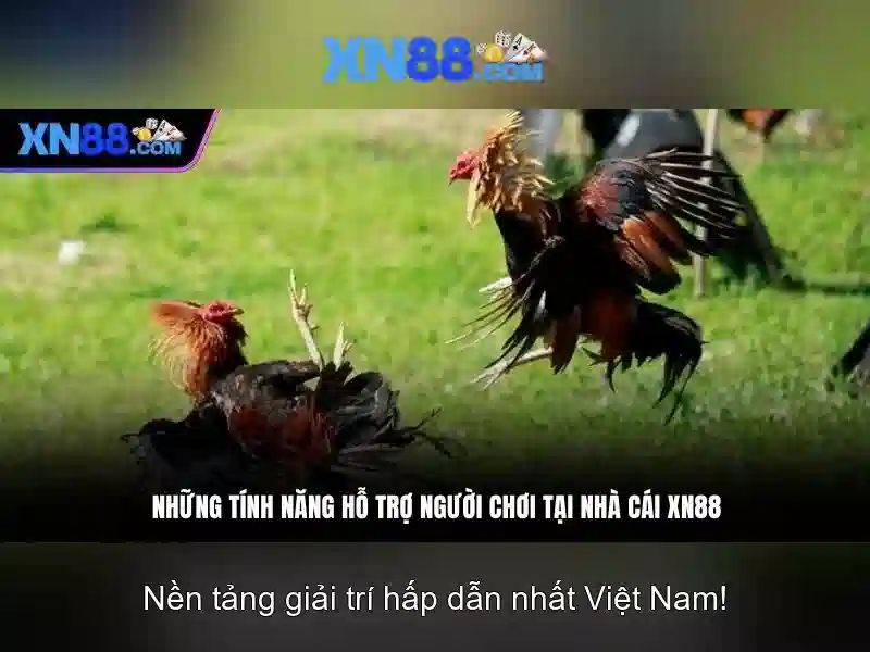 xn88: Tổng quan về nền tảng trực tuyến