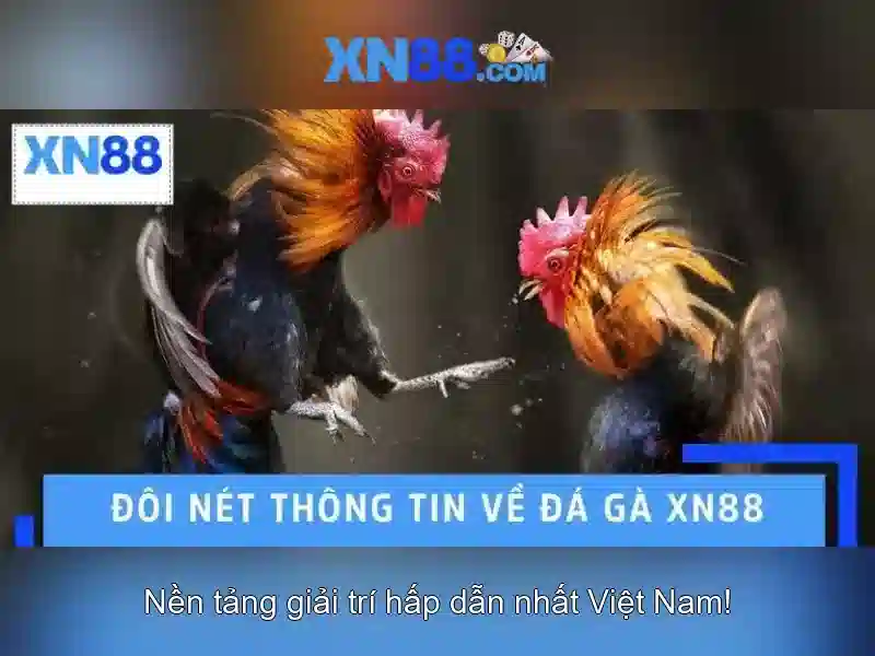 xn88: Nền tảng cá cược trực tuyến và hành trình đổi mới