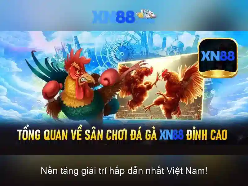 Câu chuyện đằng sau xn88 Câu chuyện đằng sau xn88