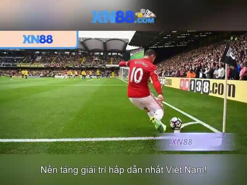 An toàn và trách nhiệm khi chơi