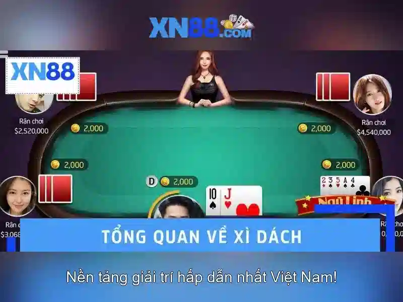 Lịch sử và nguồn gốc xn88