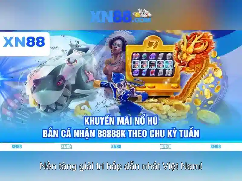Kinh nghiệm và lưu ý khi tham gia Kinh nghiệm và lưu ý khi tham gia