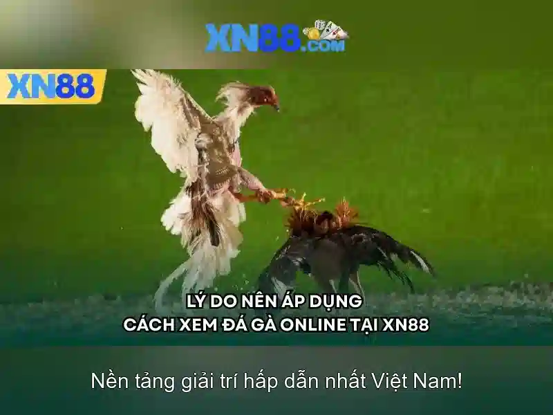 Minh-hoa-xn88-va-nap-tien 