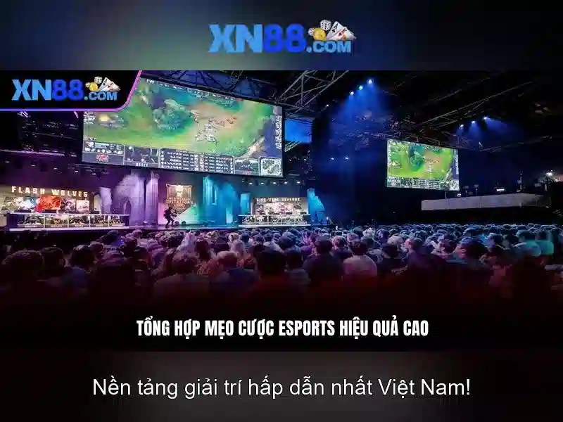 xn88 và những điều cơ bản