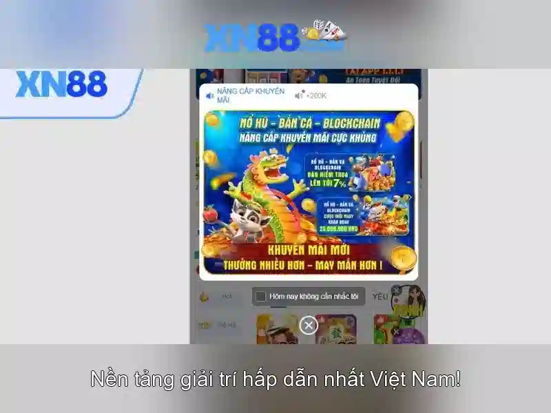 XN88: Nền tảng giải trí và cá cược trực tuyến