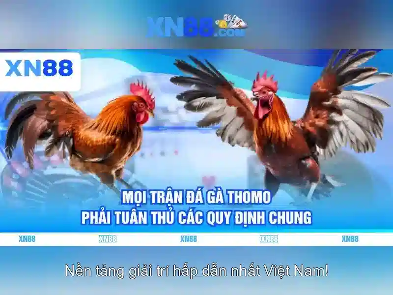 Giới thiệu về XN88