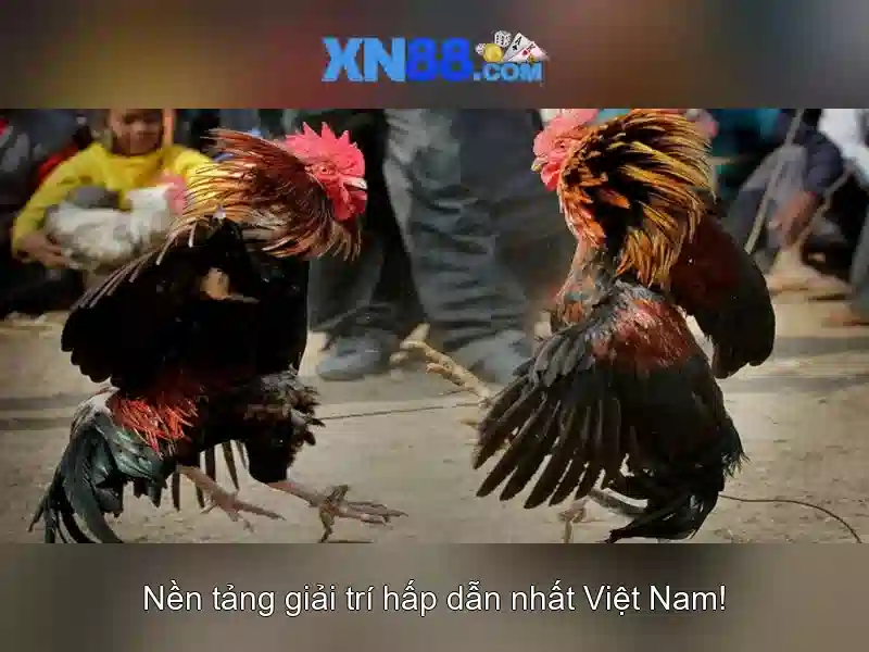Các trò chơi và chức năng nổi bật của xn88