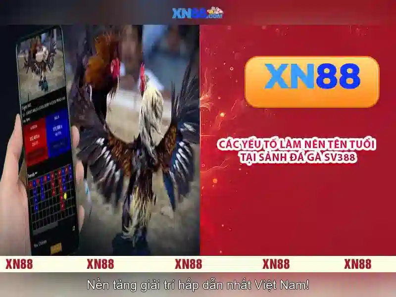Khám phá xn88: nền tảng giải trí và cá cược trực tuyến