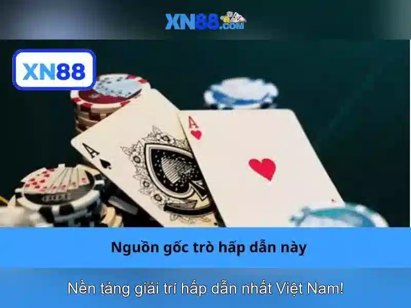 Hỗ trợ khách hàng và dịch vụ người dùng