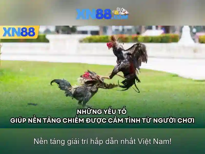 An toàn và thanh toán An toàn và thanh toán